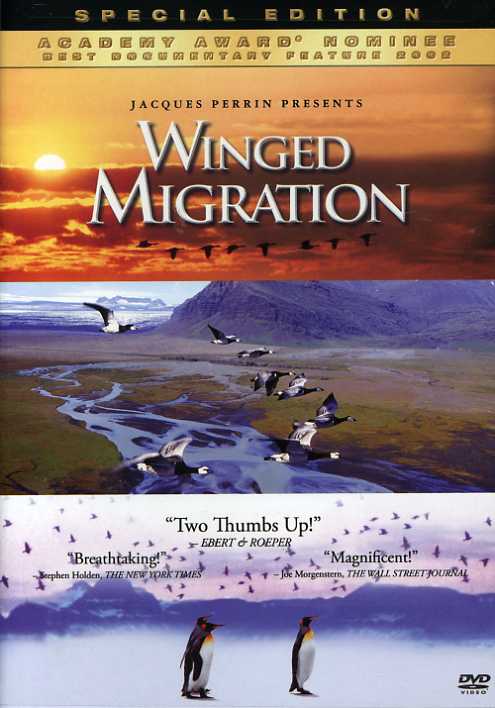 Winged Migration (DVD)
